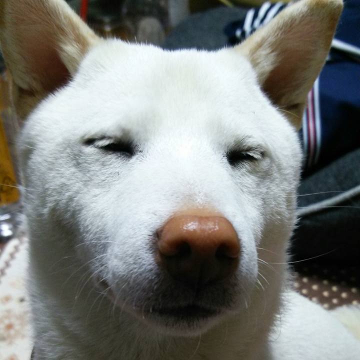 F09db076 ea25 4c44 886b 5a43d7033c72