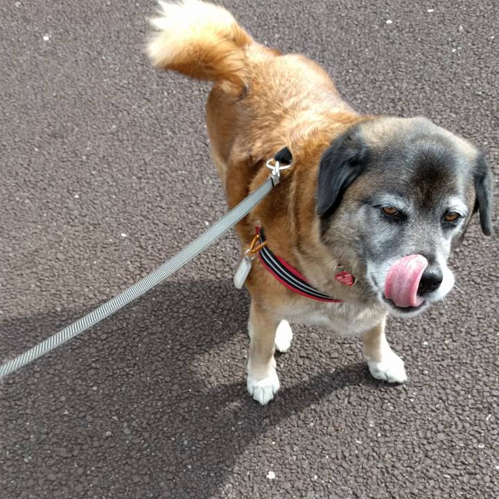 F09e3457 6249 4583 9796 62661f988c6f