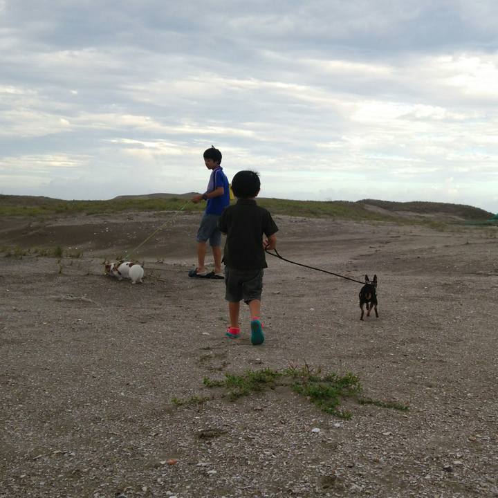 F09e4e8f df0d 4e7a 859c 2445d2572fa5