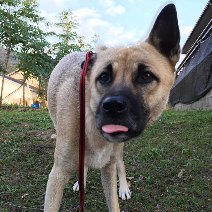 F09ef3e2 2d8b 4196 b51d 54ed17d133b8