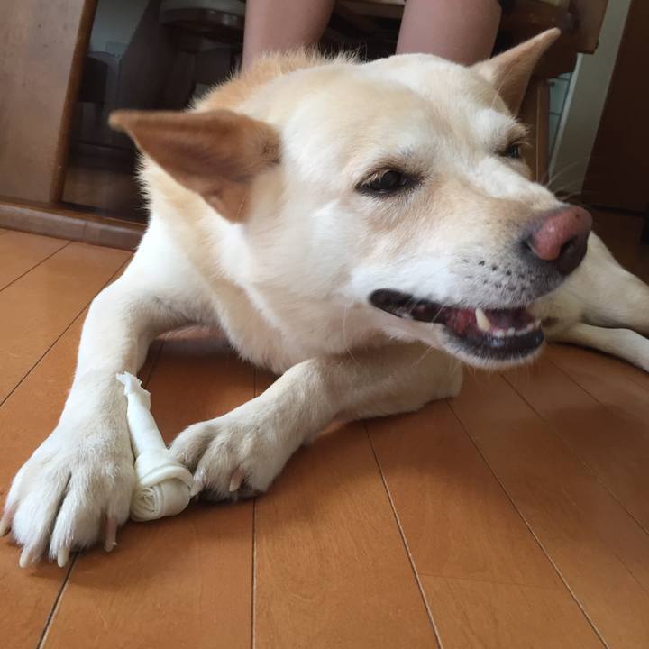 F09fcd8e 0154 4c22 bfed 5073b60bc855