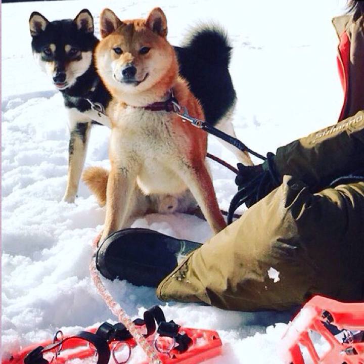 F09fed13 6136 4bab b1ce 43030c1fc271