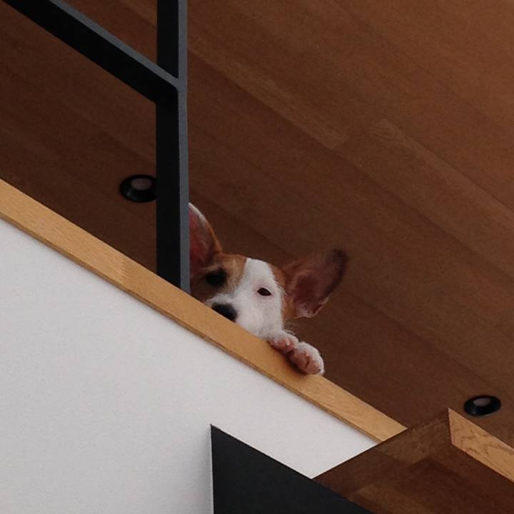 F09ff72d ebfd 4b00 aab2 4b37950a9359