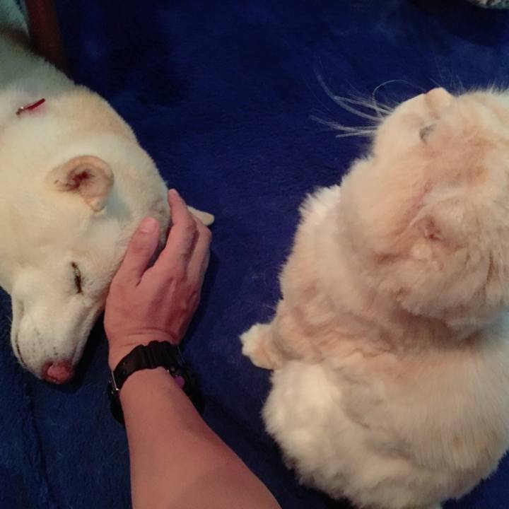 F0a06cc9 2056 4a91 b937 1e84b3e37fef