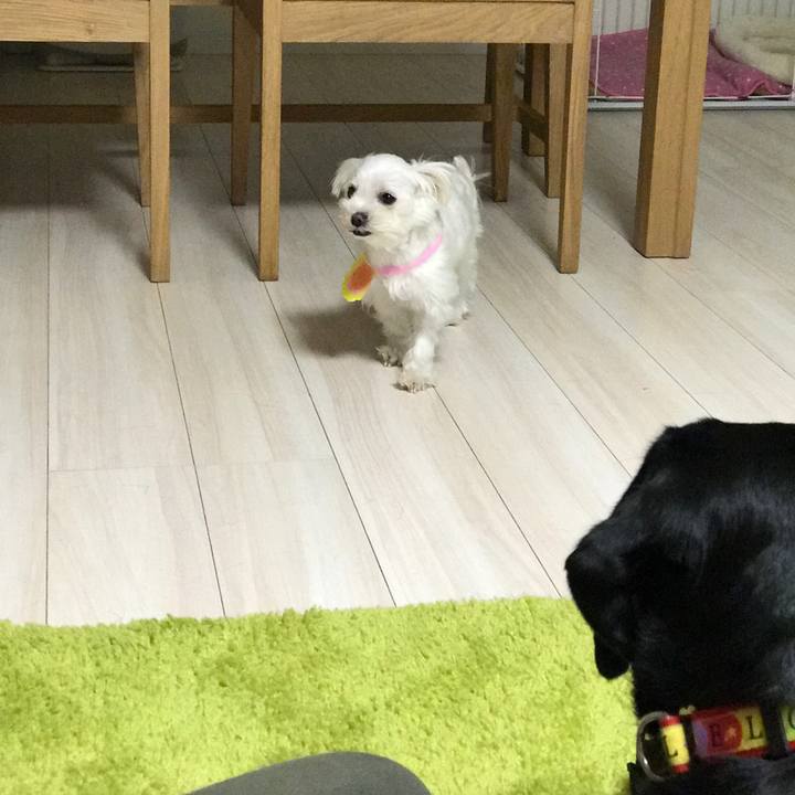 F0a1582e ac9c 413a ae76 927149737db8