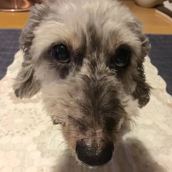 F0a20d58 f278 4e18 ab90 2738c62ce07e