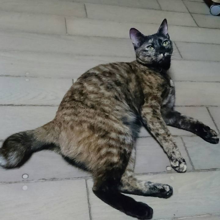 F0a21665 cefe 4ce2 8c01 0c7063bd107d