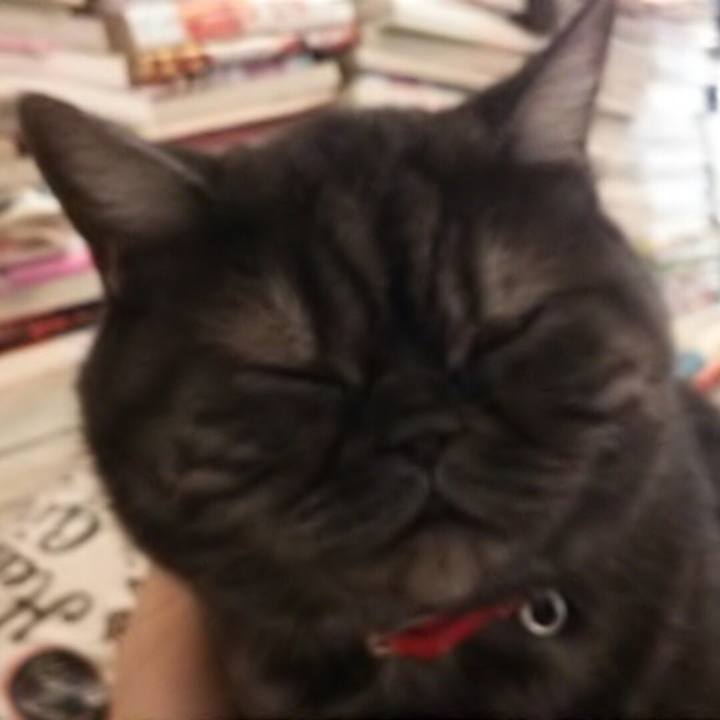 F0a2dc4d feab 4828 9a2c 90517200d531