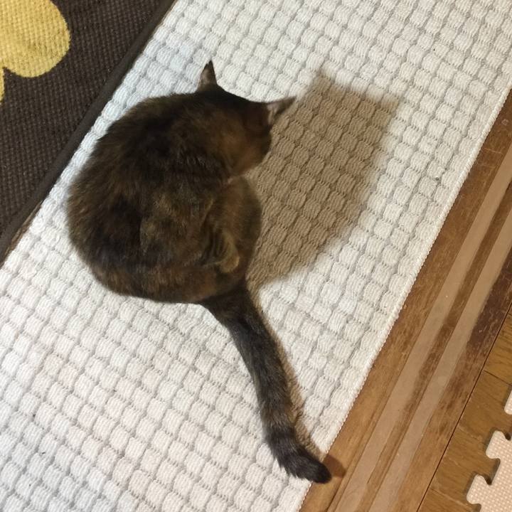 F0a3ee3e 5eb7 401d 8101 87c332f77f87