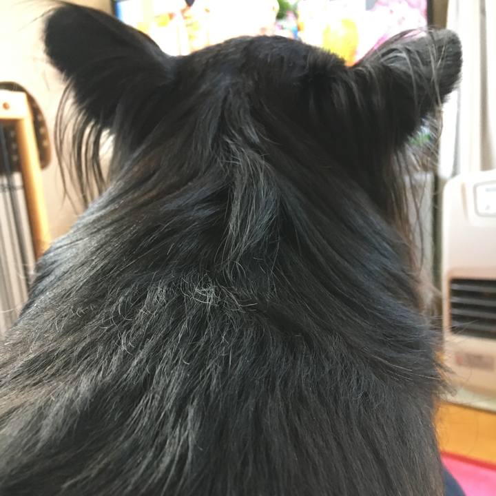 F0a43ef9 4b19 472c abca 92ac2e6d10c5