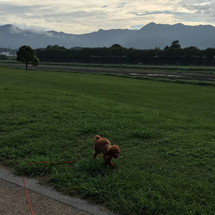 F0a4ac96 5832 4a08 b599 771a3831ac55