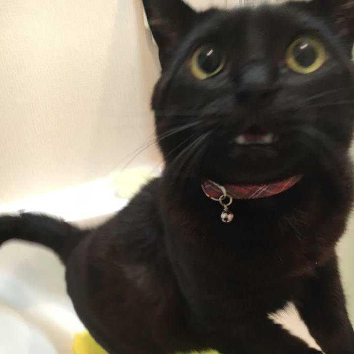 F0a51525 c5ab 4e4f 80ac d7d7faf474cd