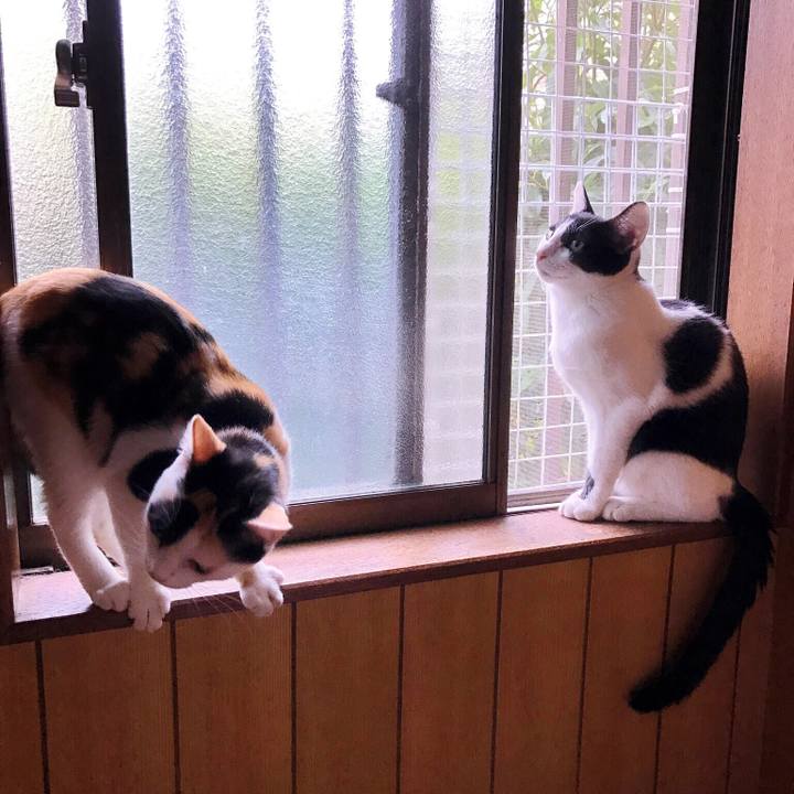 F0a59b62 bdc0 485f 9014 8710563d3507