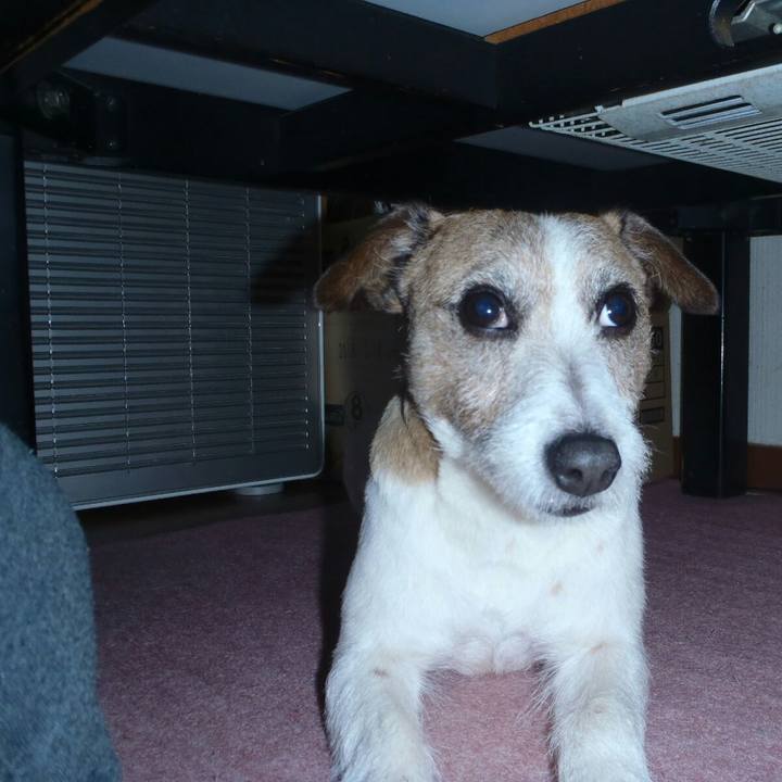 F0a5bfbb 171d 4a84 b0e6 63a97cf454c4