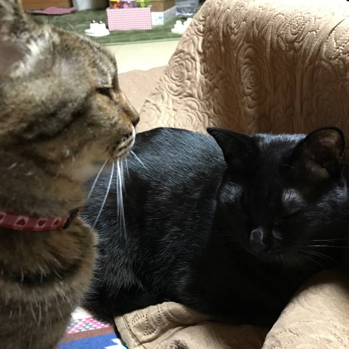 F0a647f9 1e4a 4b6c 8720 72f0d08f9803