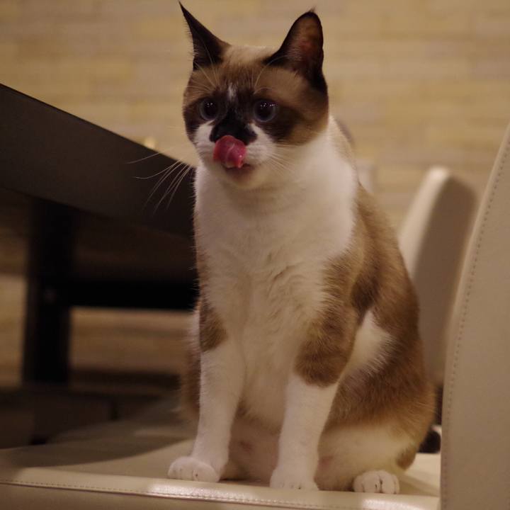 F0a654b6 8966 4f15 bc7d e9108a1b08af