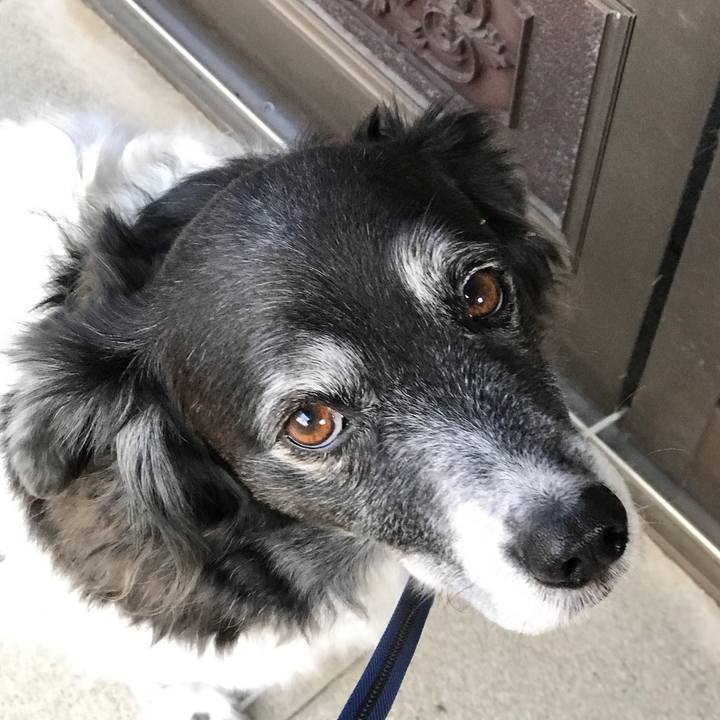 F0a7ccc7 6c61 4759 875d a8cba659cf24