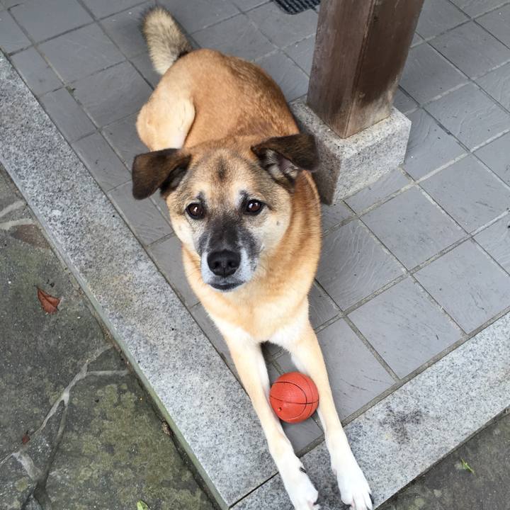 F0a972e6 1896 40c4 ad7f b67564eeaba0