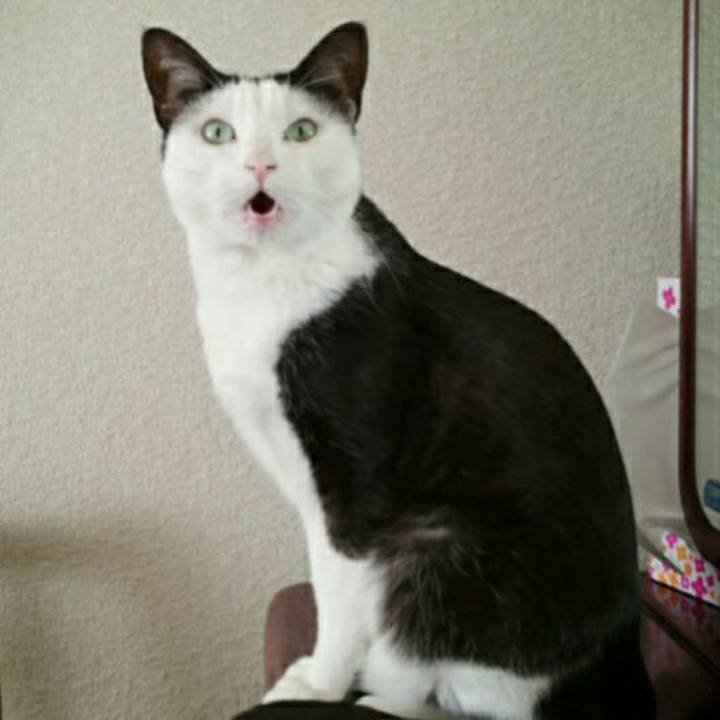 F0a97987 481d 45d5 89a1 f5af76f4bebb