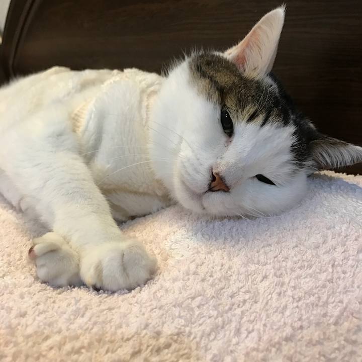 F0a9fa23 dffd 4034 9895 bc9dd9976c17