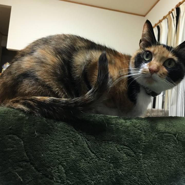 F0aa108f 6736 4bcf 8081 a837ccdfb946