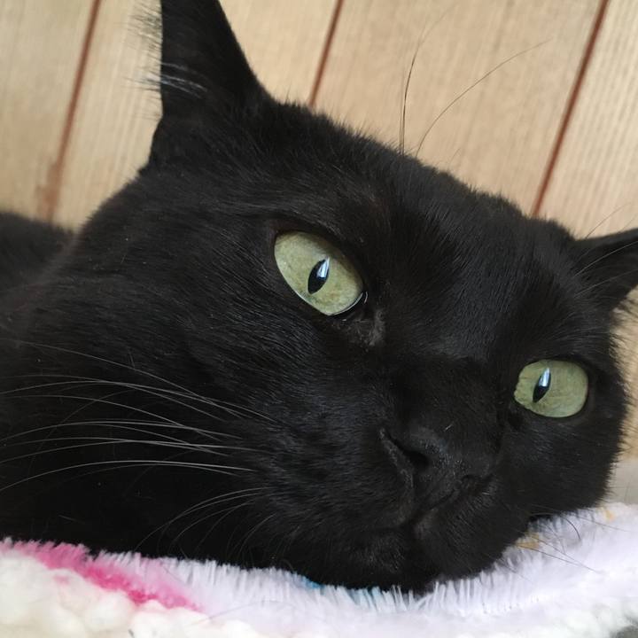 F0aa5921 a32f 4843 9129 e850ce86c5de