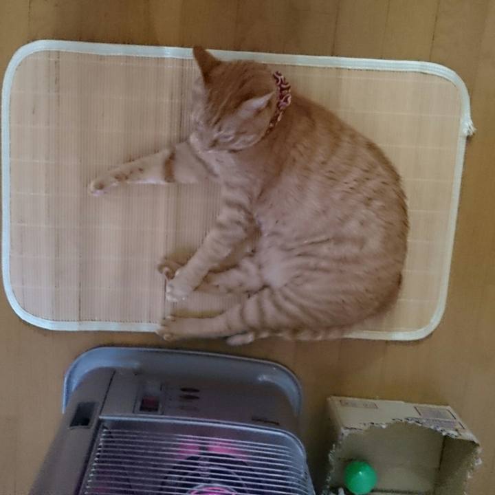 F0aacb3d 3387 4e25 8bf5 f105f7df5fbd