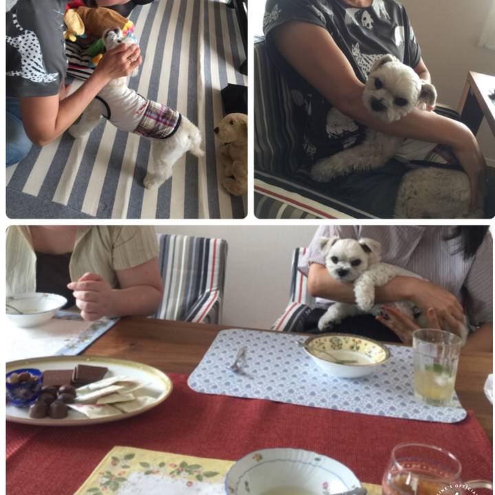 F0aaf19d 52f8 4cbe 9429 ceba4760d634