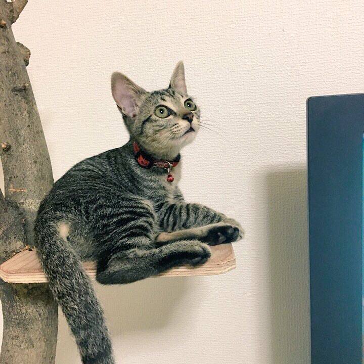 F0ab2ab0 30bf 479d be49 4b47656c5cdd