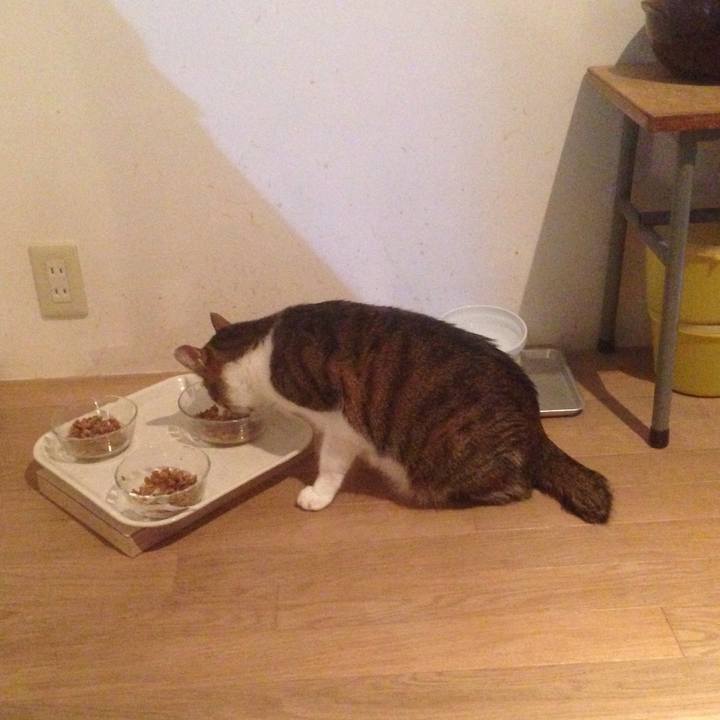 F0abf0a1 0cce 4288 97cd b7c474fbea85