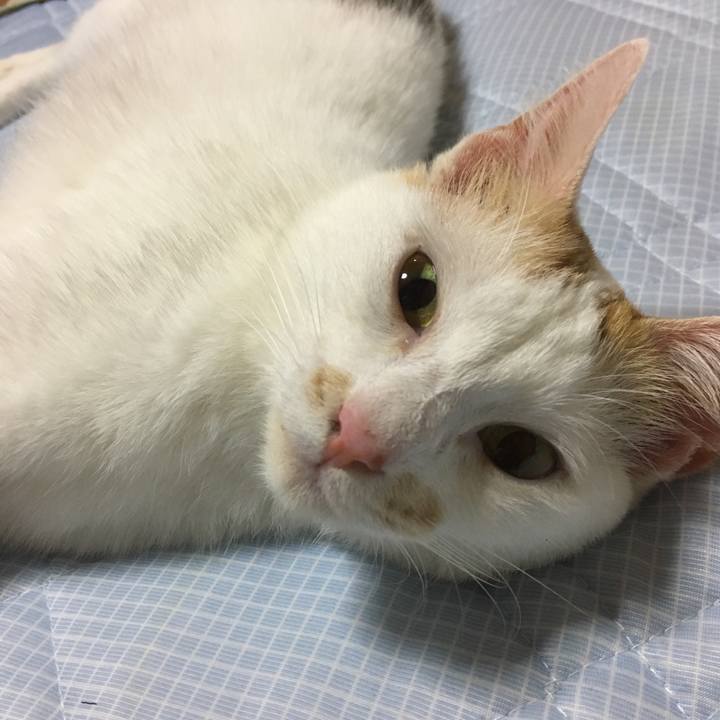 F0ac8066 01a1 4a77 92dd aae9ba0ccfae