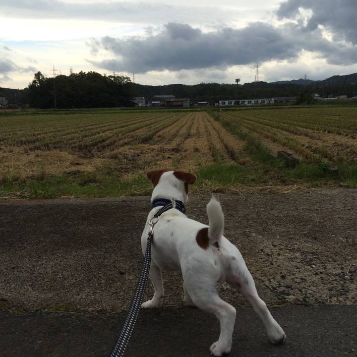 F0ac9fa7 f393 4041 912d c1e34c72078a