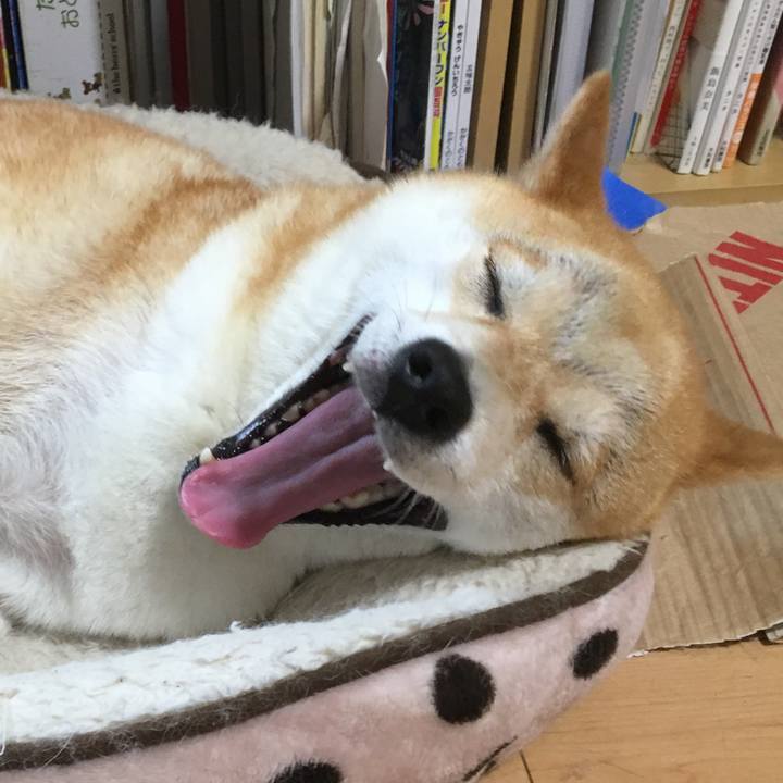 F0addba6 4727 4d3e a91a 75a01d4e91a7