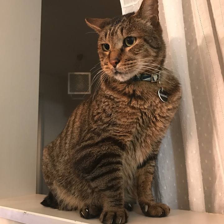 F0ae8d22 5331 4b68 94db ae87cf4c64b5