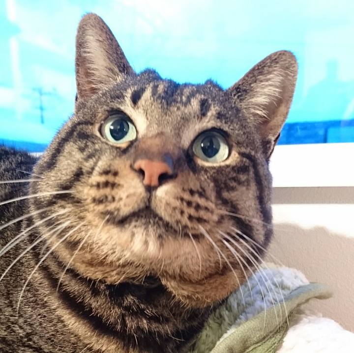 F0aed379 c682 412c 8313 a3a9481bc307