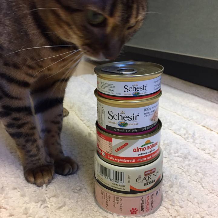 F0afb1d0 287c 4ca8 828e a8fde3ec4899