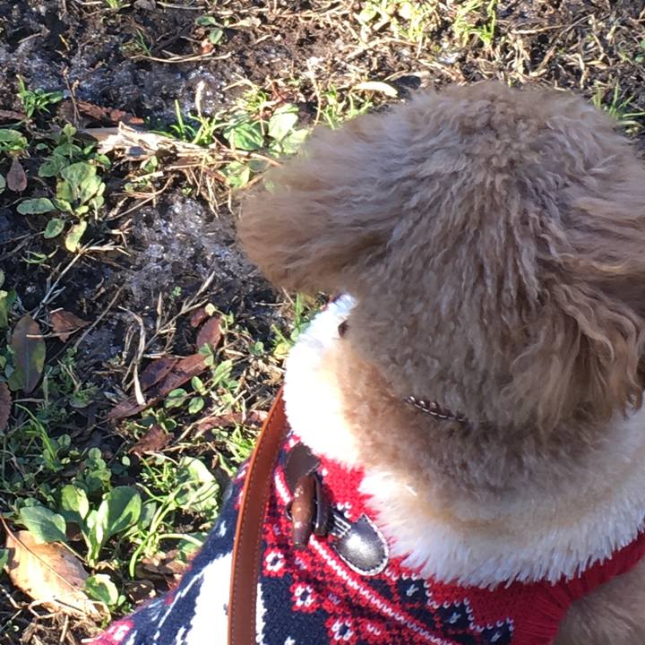 F0afc48c 375e 4404 9a39 5ee229f3835d