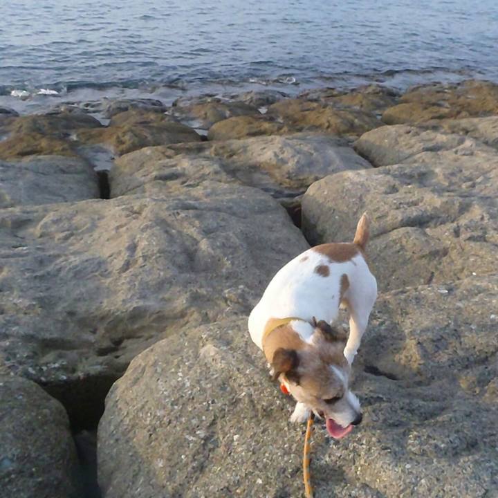 F0afdb2a dfaf 4e4f 9fa4 bcb3ba7c8acc