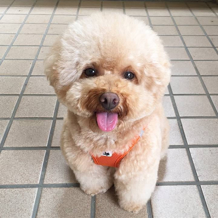 F0b032cc f4eb 4458 a935 0a2eeebdfa12