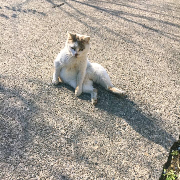 F0b1562d c870 43f7 924b e893bc9c456b