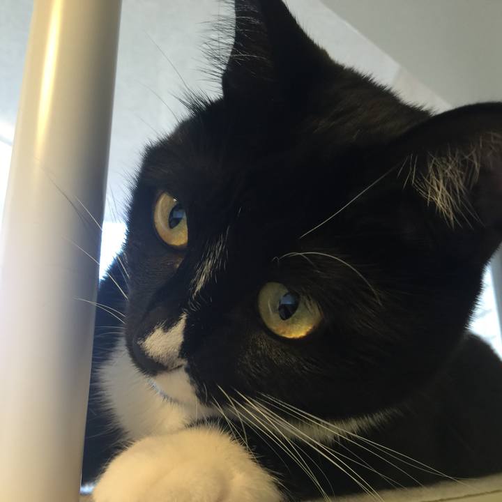 F0b16479 8410 4cc0 85d4 4fc65672d366