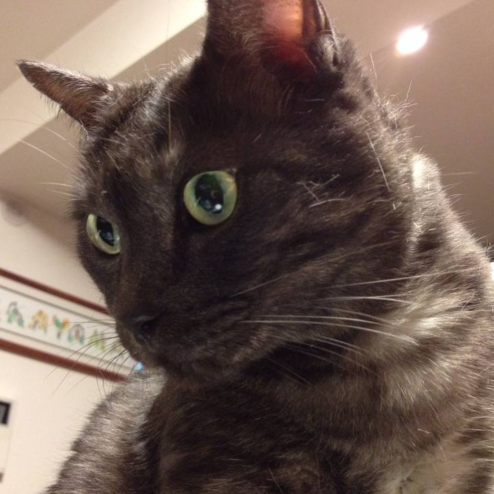 F0b2221e b7aa 4677 af33 6e5d9b44bf68