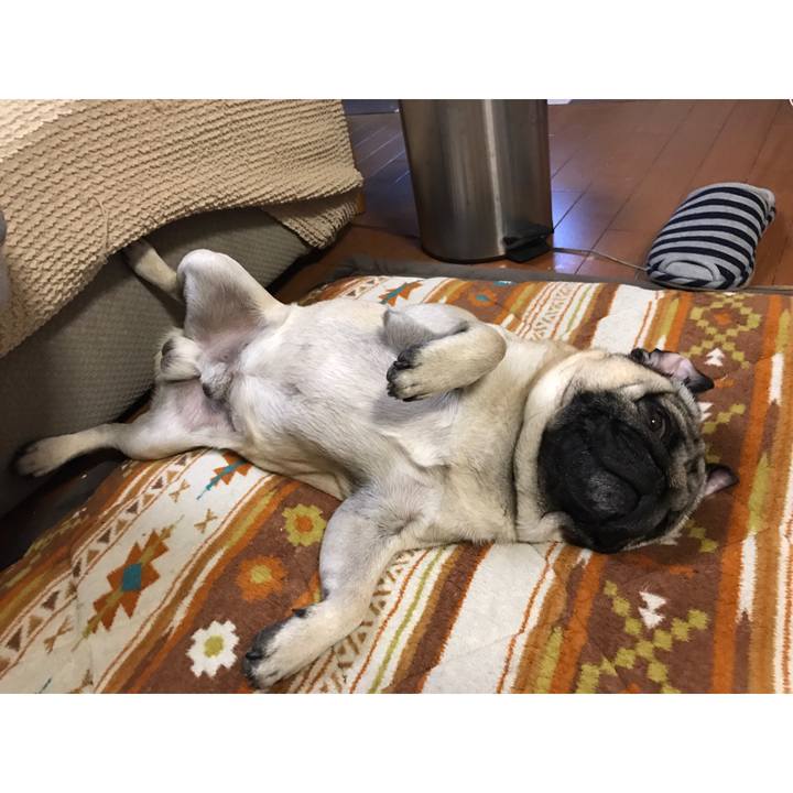 F0b34214 5b3d 49b3 979c 7d649409e05c