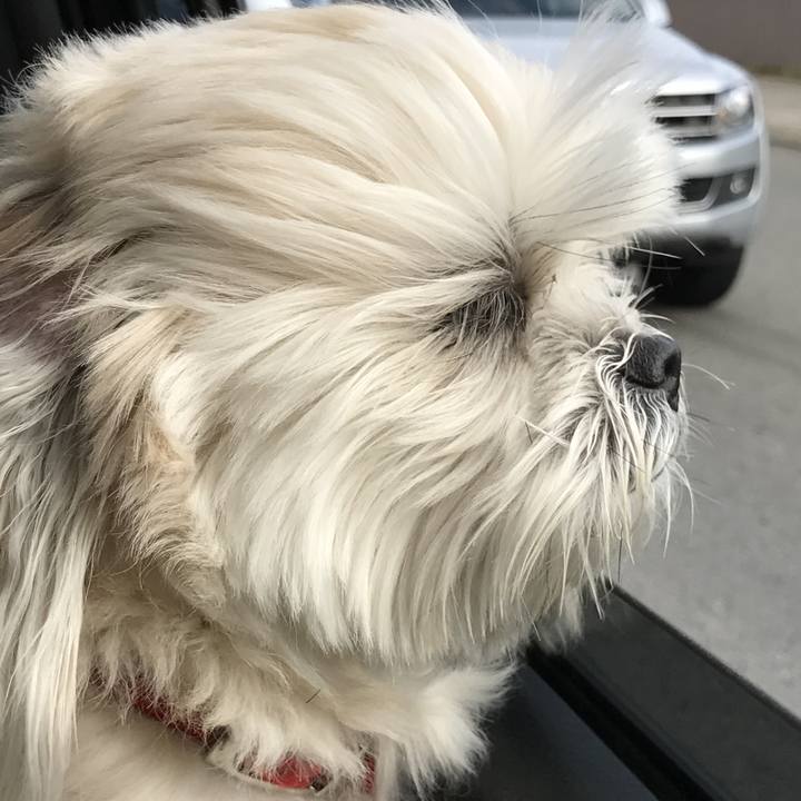 F0b37247 44c1 4376 b029 3d11a30df635