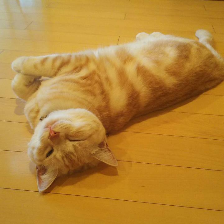 F0b3cc28 8195 4628 96da 1e6847096aa6