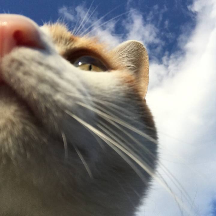 F0b3e909 fca9 4787 9862 179d68ceb4cb