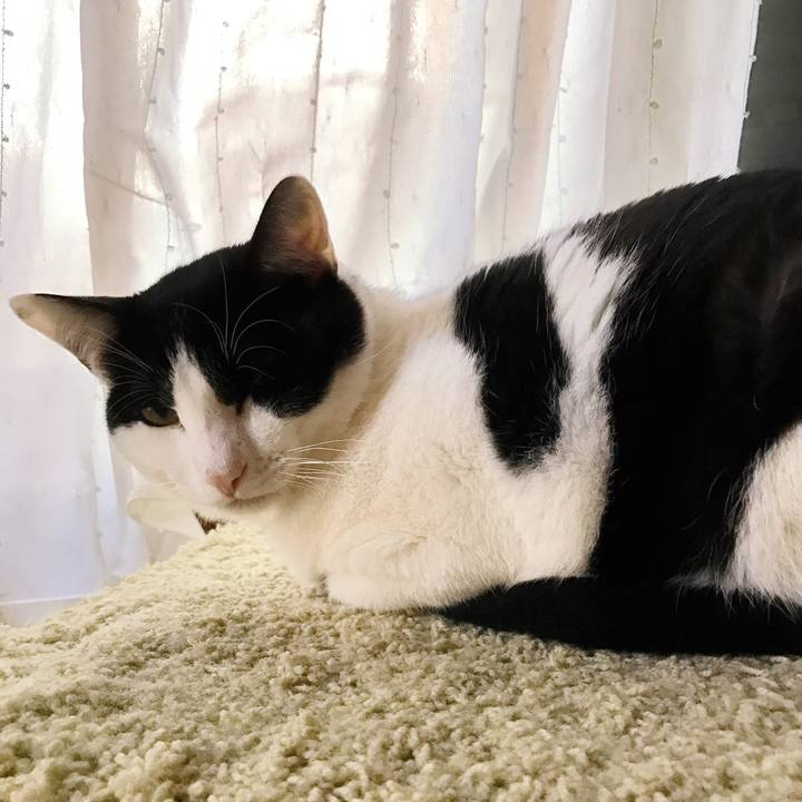 F0b427ea b2b9 4975 b2b0 d065961ed386