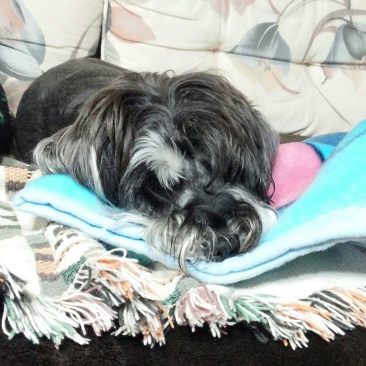 F0b42b8f 85c0 4cd2 a50a dd2779250ba3