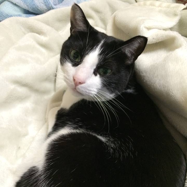 F0b4cfbc 0335 434c b933 17ab2fbf655a