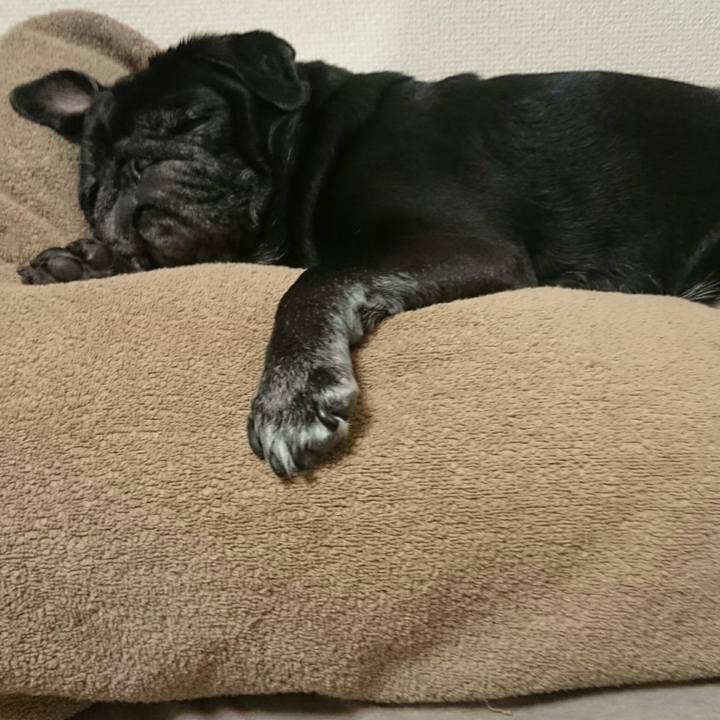 F0b4e293 5174 4fbf 98f8 e48d34ecfeee